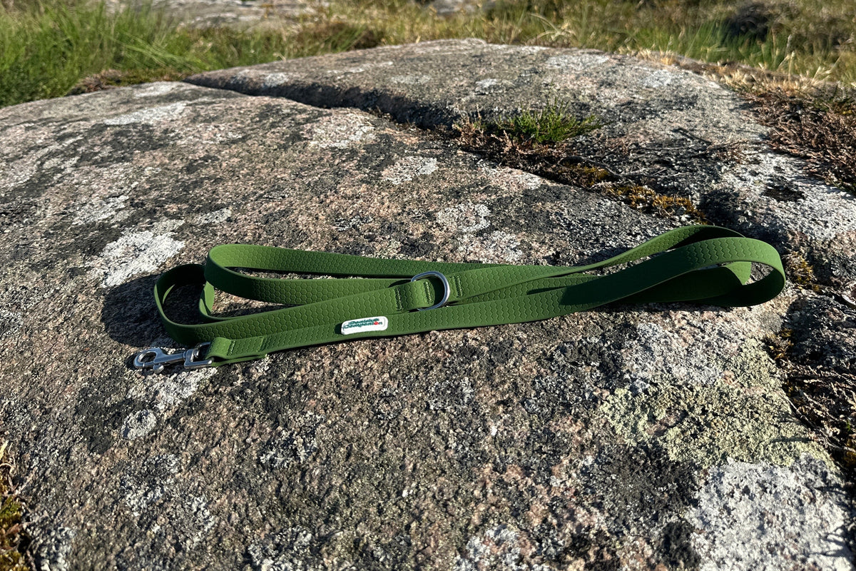 Nordic Trail Leash