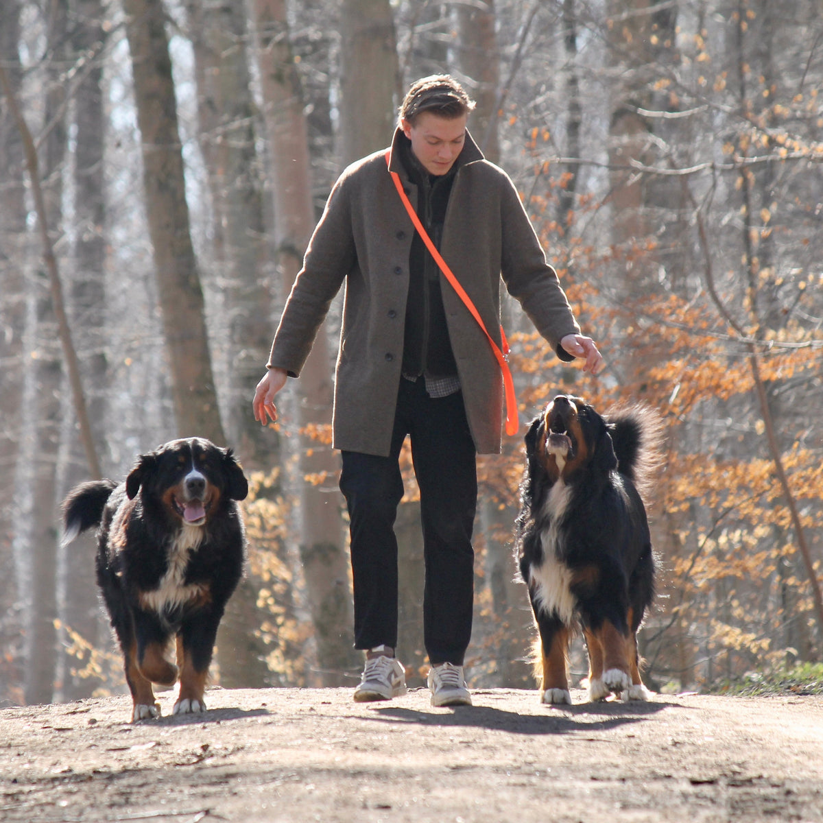 Nordic Trail Leash