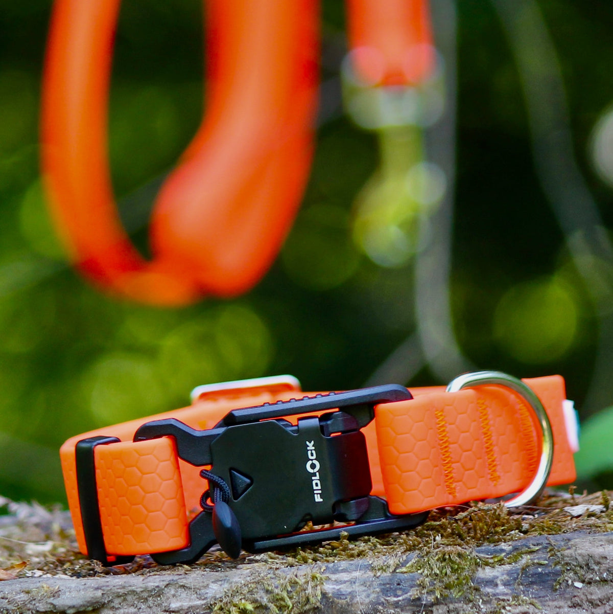Nordic Trail Collar